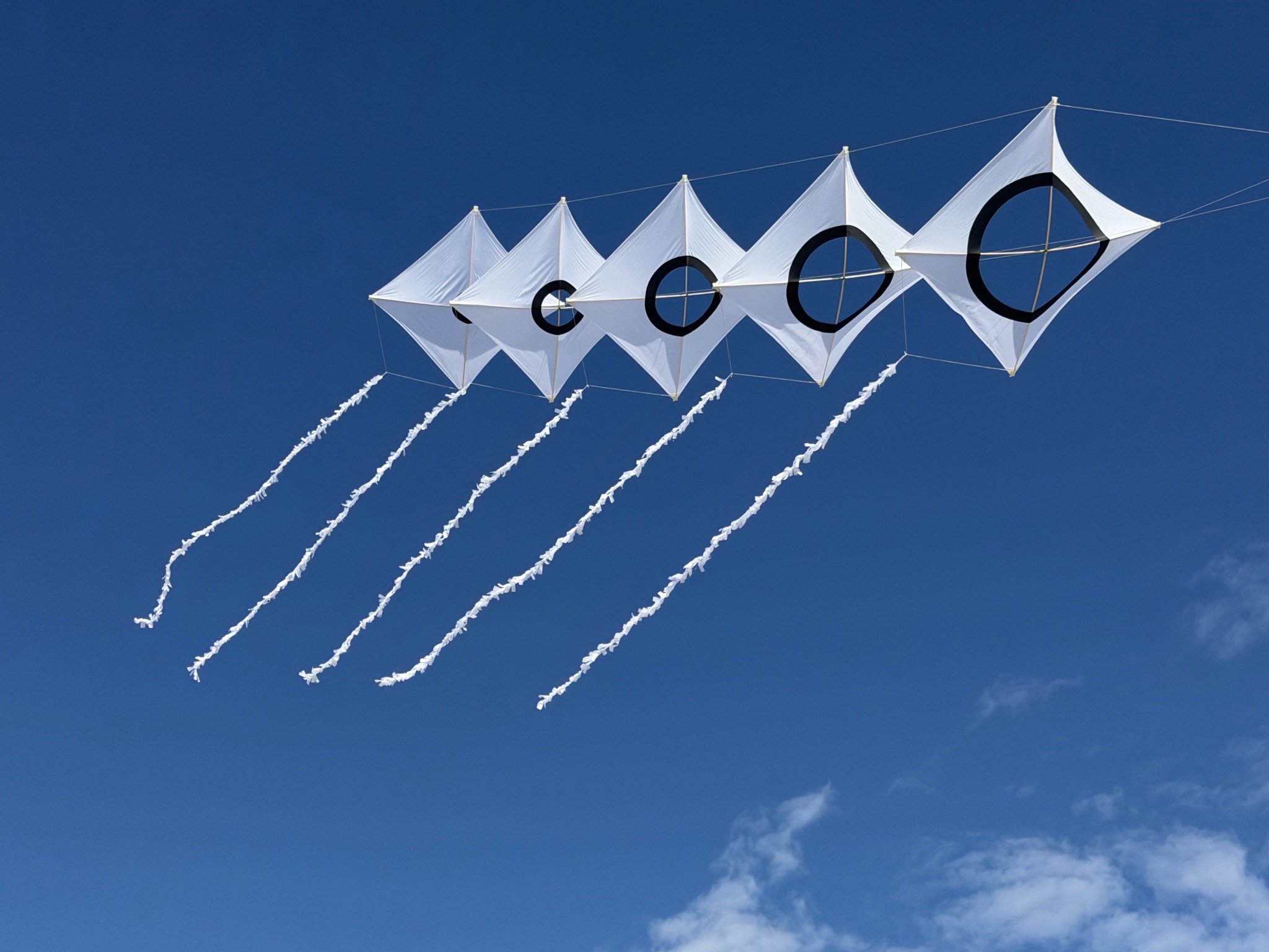 Kite